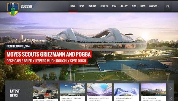 Soccer WordPress Theme