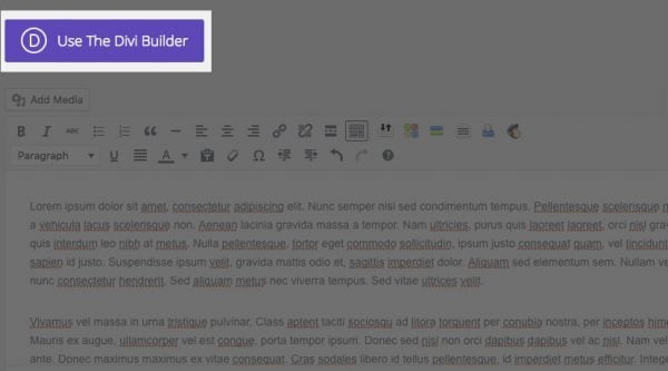The Use The Divi Builder button.