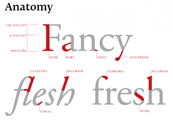 Font anatomy diagram