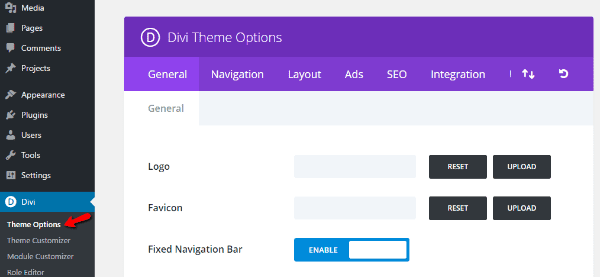 add-plugin-css-divi