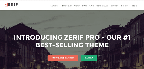 Zerif Pro