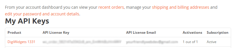 A screenshot of the DigiWidgets backend showing an API key.