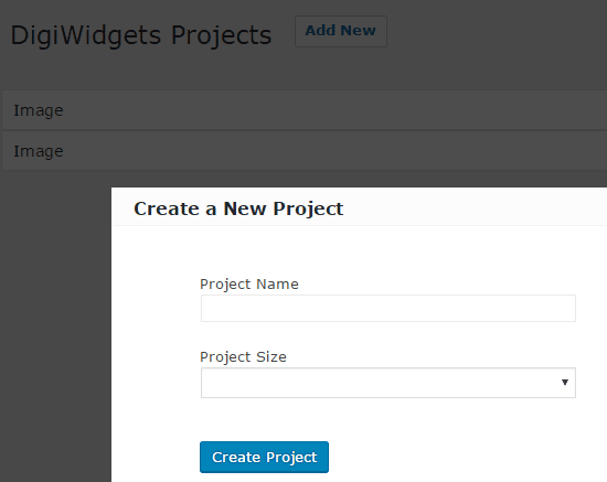 The create new project window.