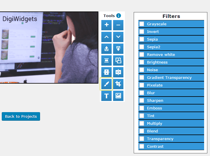 The DigiWidgets filter tool.