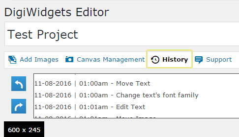 The DigiWidgets history function.
