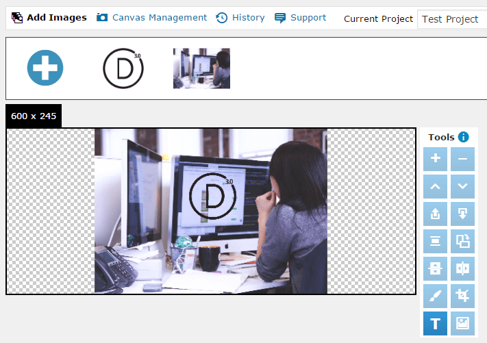 The DigiWidget layer system.