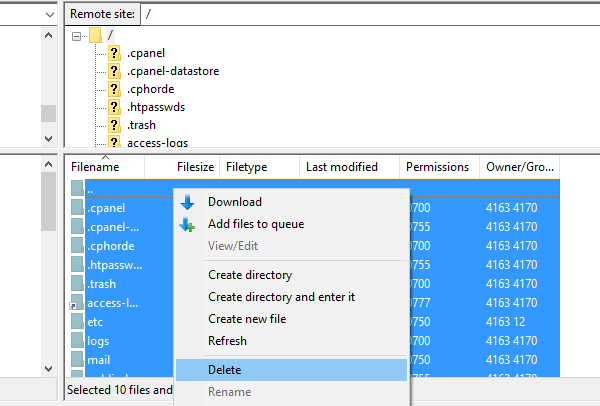 FTP client interface showing the Delete button selected