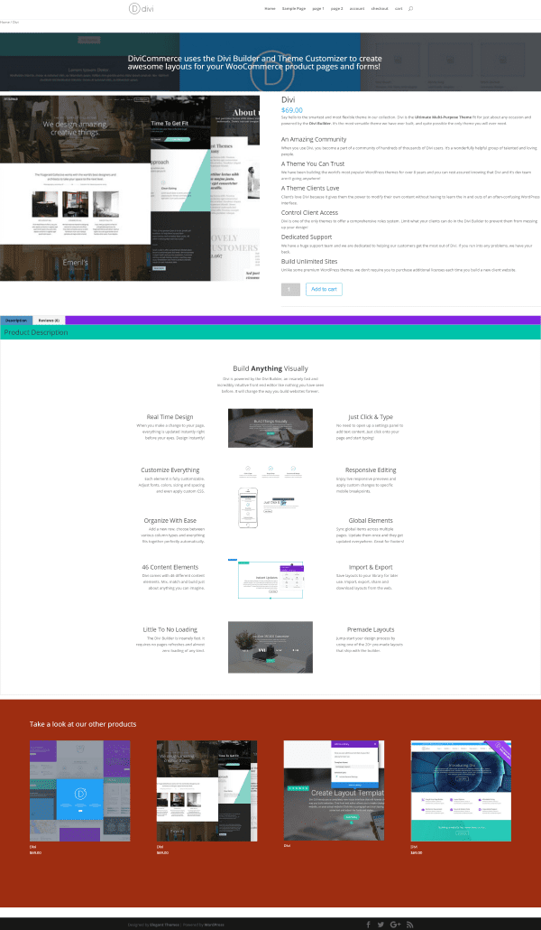 divi-customizer-example-1