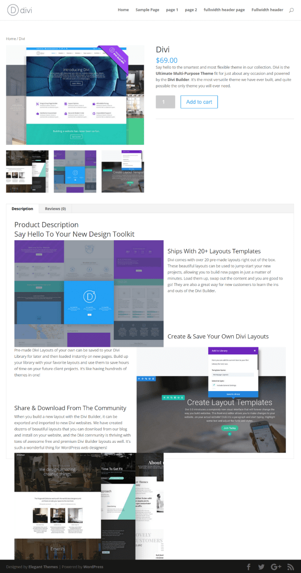 divi-commerce-standard-woocommerce-product-page-first-example-3