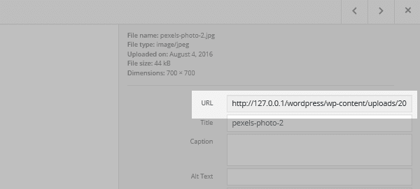 The image URL highlighted within the Media Library interface