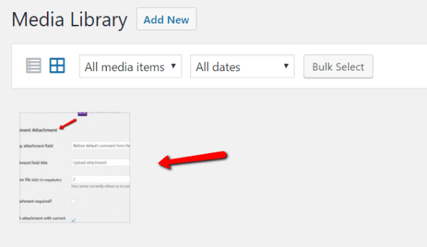 WordPress media library