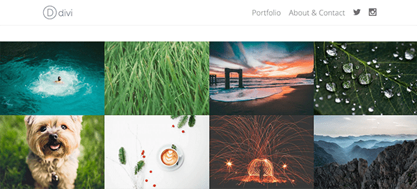 divi-portfolio-module-5