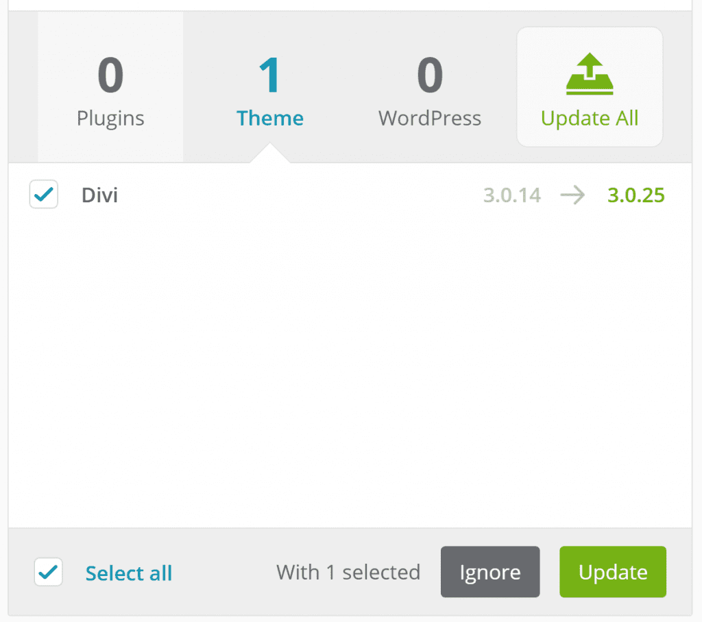 The option to update your WordPress themes.