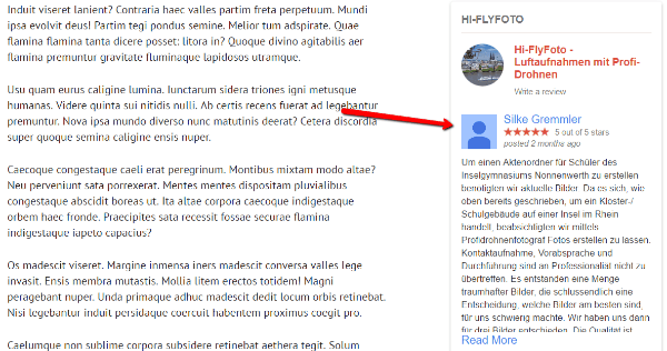 Google Places Reviews