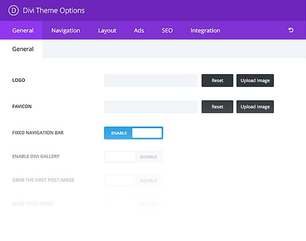 divi-theme-options