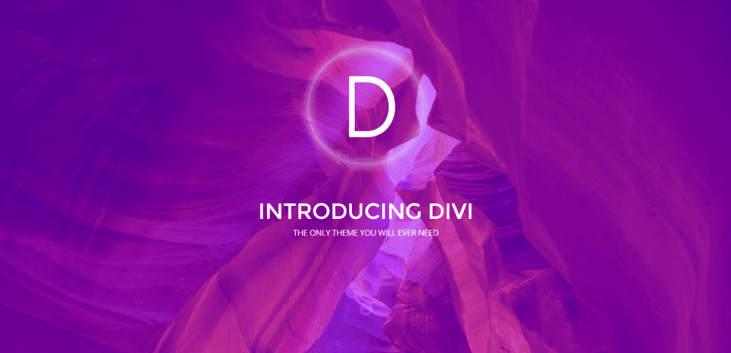 The Divi theme homepage
