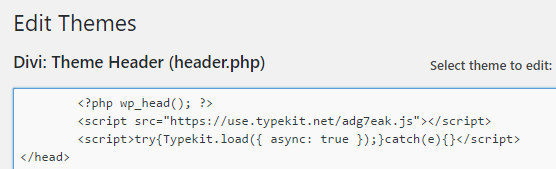Adding your Typekit embed code manually.