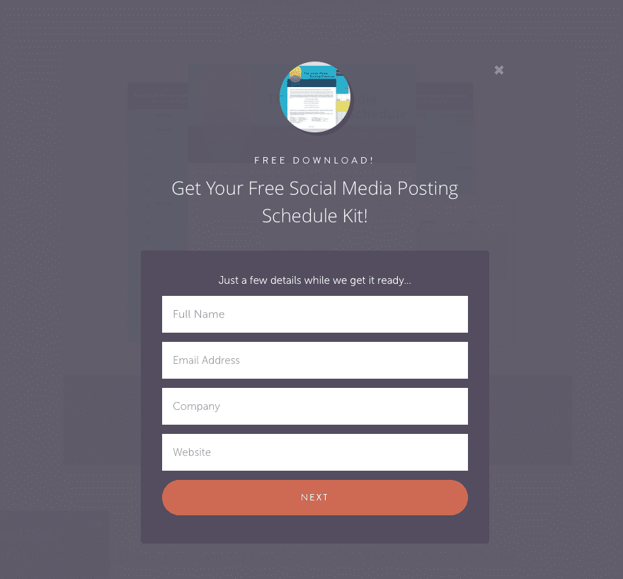 CoSchedule Opt-in Form Example