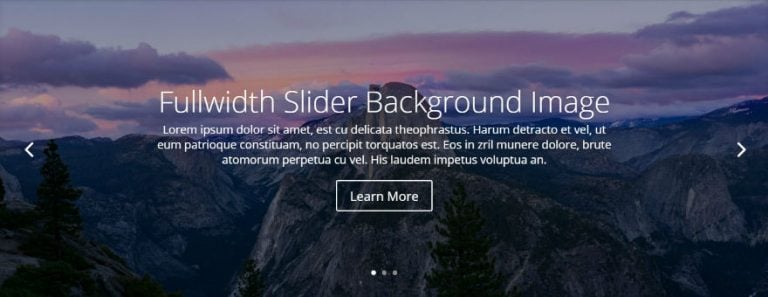 The Ultimate Guide to Using Images within Divi