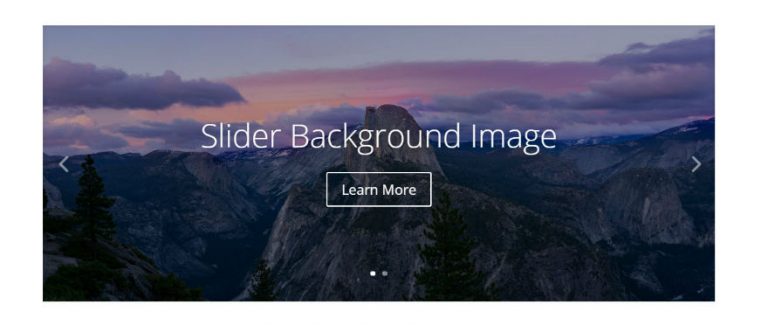 The Ultimate Guide to Using Images within Divi
