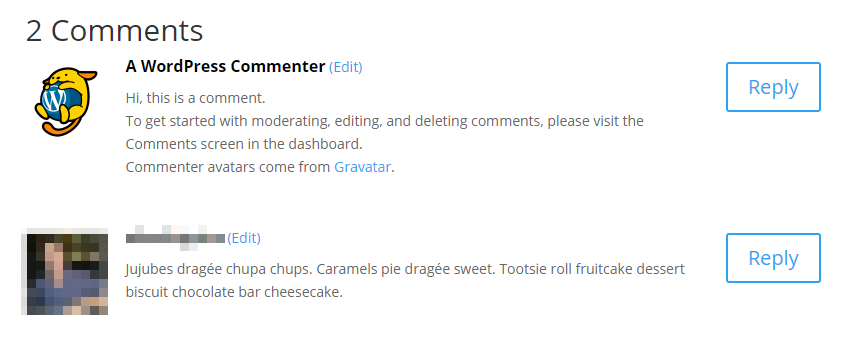 A Divi comments section without dates.