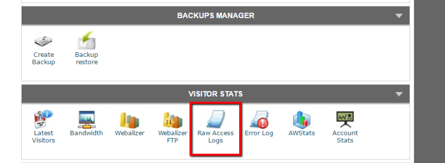 raw access logs