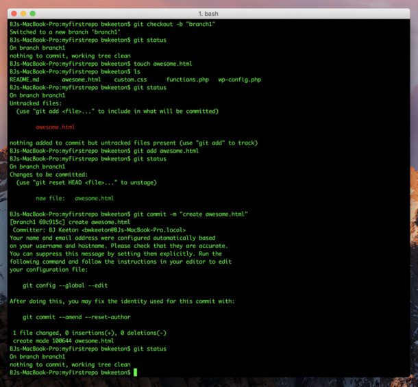 Git and Github: A Beginner's Guide for Complete Newbies