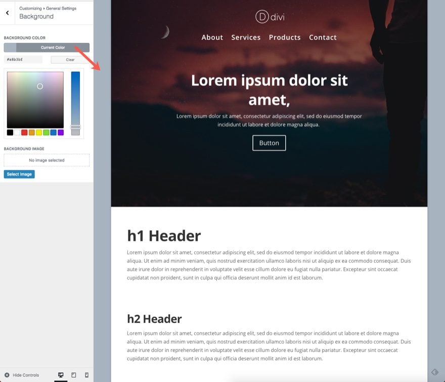 Divi Theme Customizer