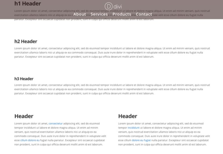 The Ultimate Guide to the Divi Theme Customizer