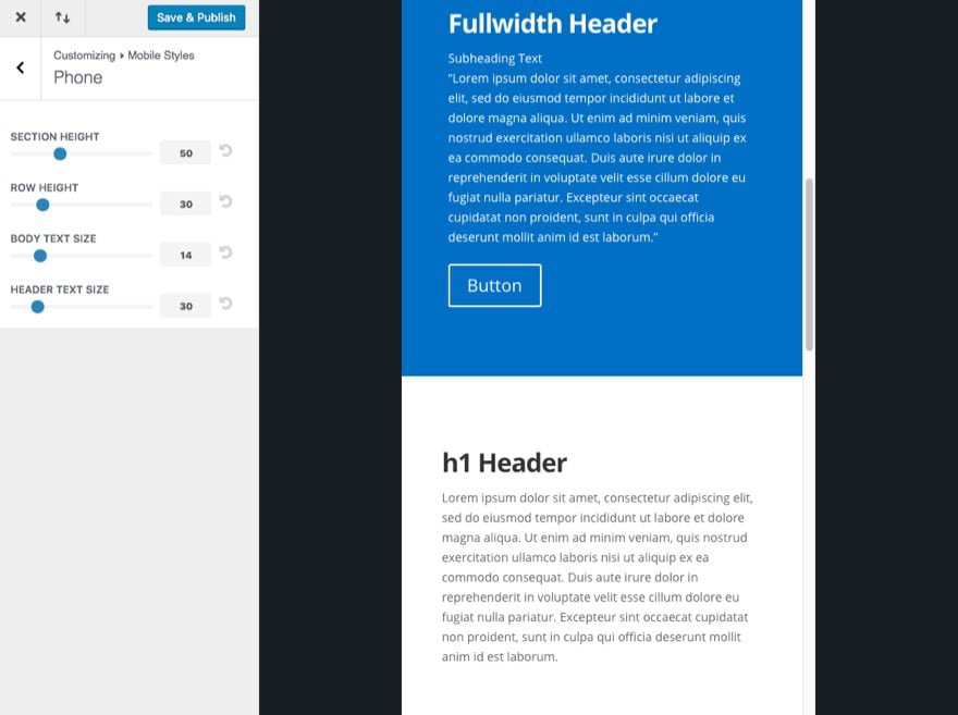 Divi Theme Customizer