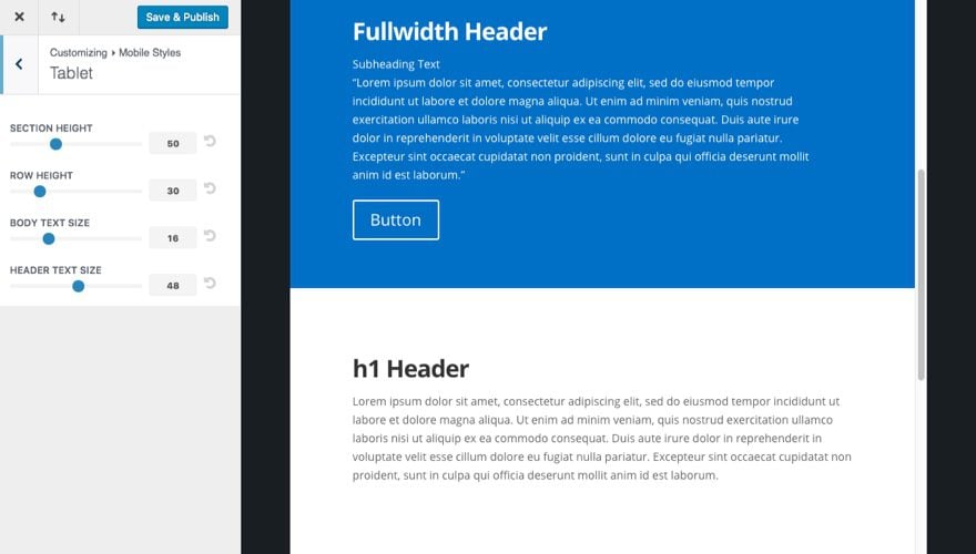 Divi Theme Customizer