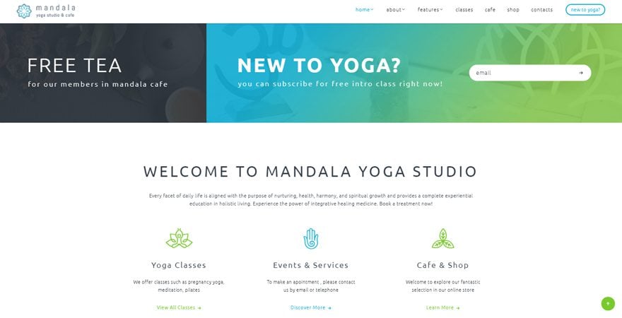 Best WordPress Themes for Spas