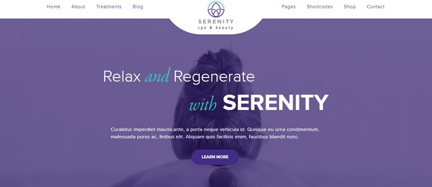 Best WordPress Themes for Spas