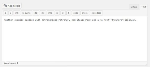How to Create Good Captions for Pictures on Your WordPress Website