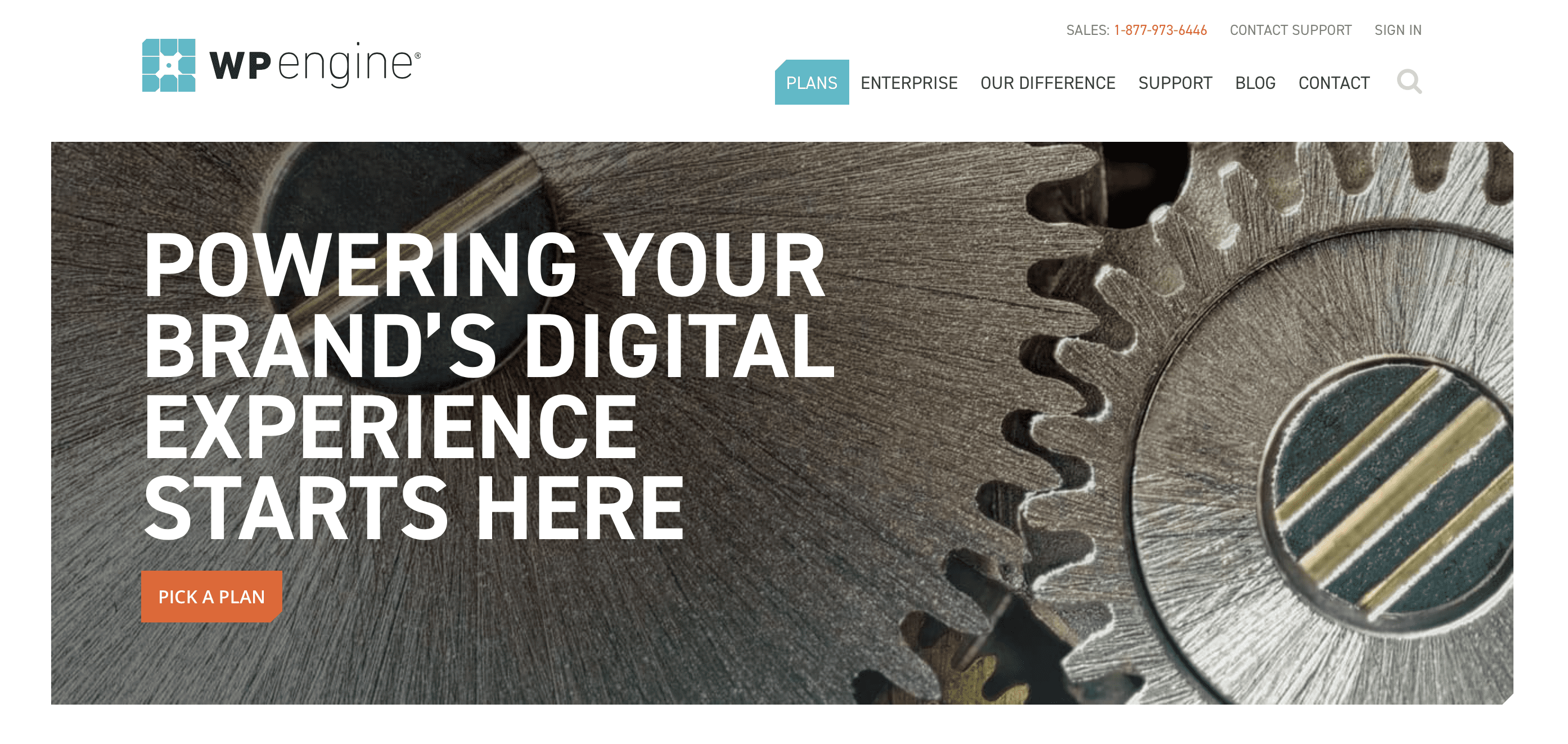 wordpress hosting