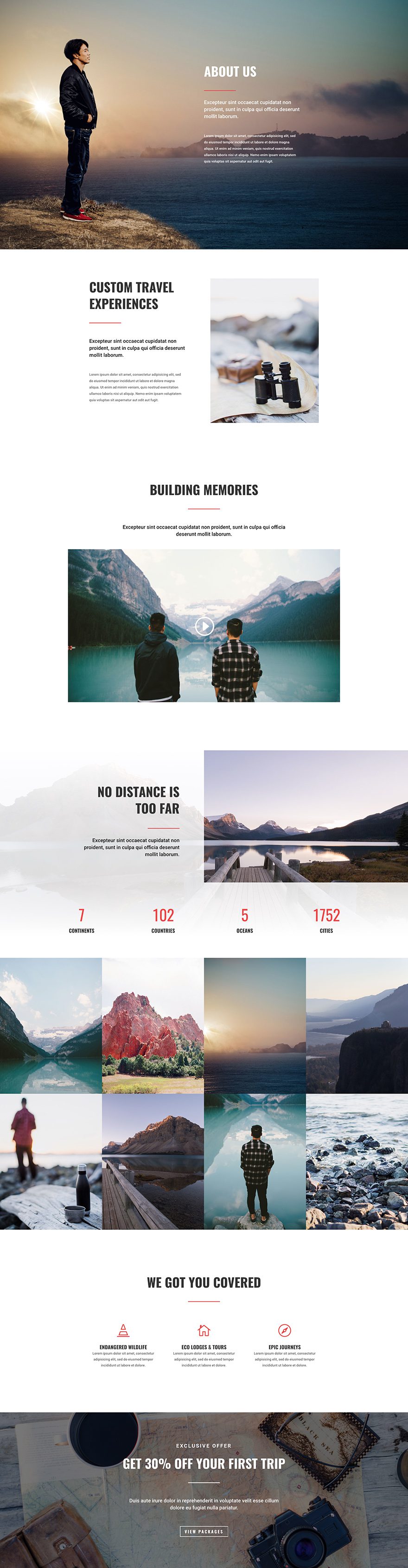 divi layout