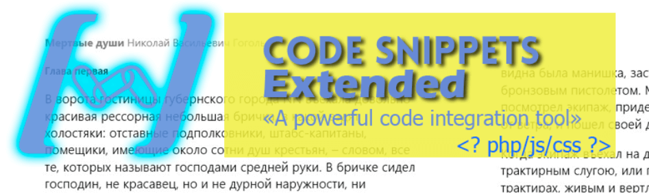 The Code Snippets Extended plugin.