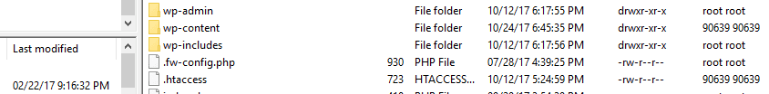 WordPress' root folder.