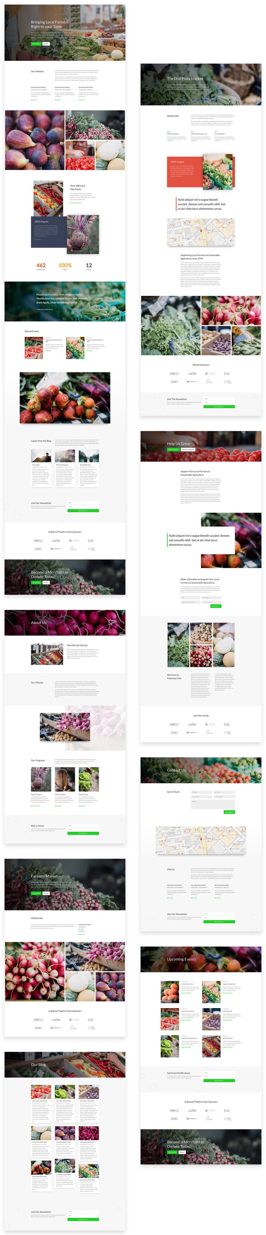 divi-farmers-market-layout-pack-grid