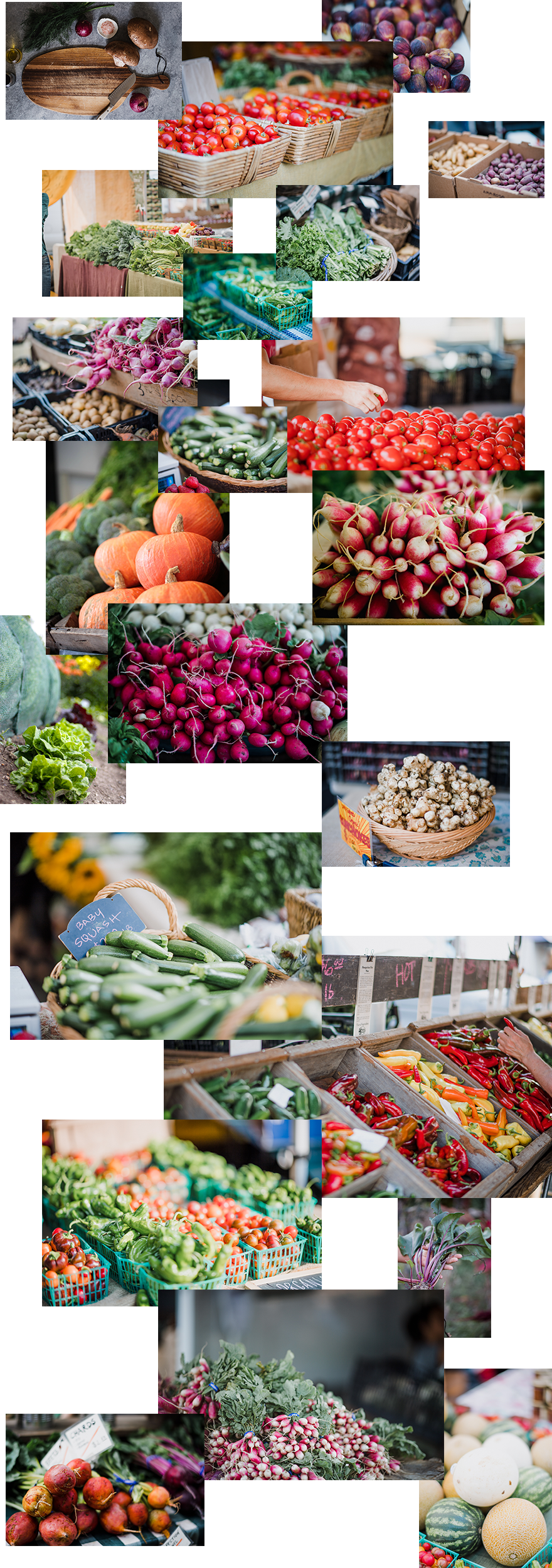 divi-farmers-market-layout-pack-image-assets