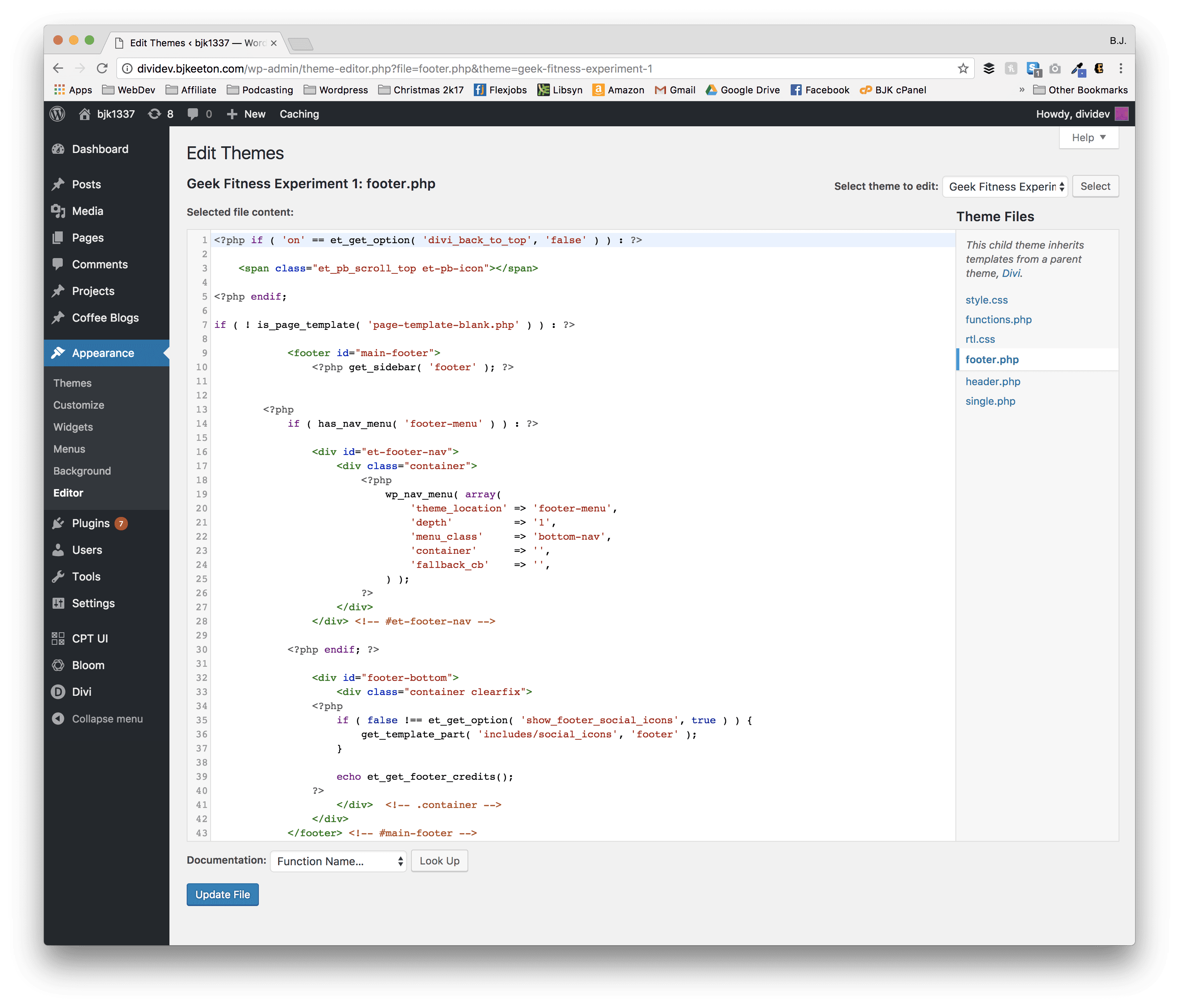 wordpress code editor