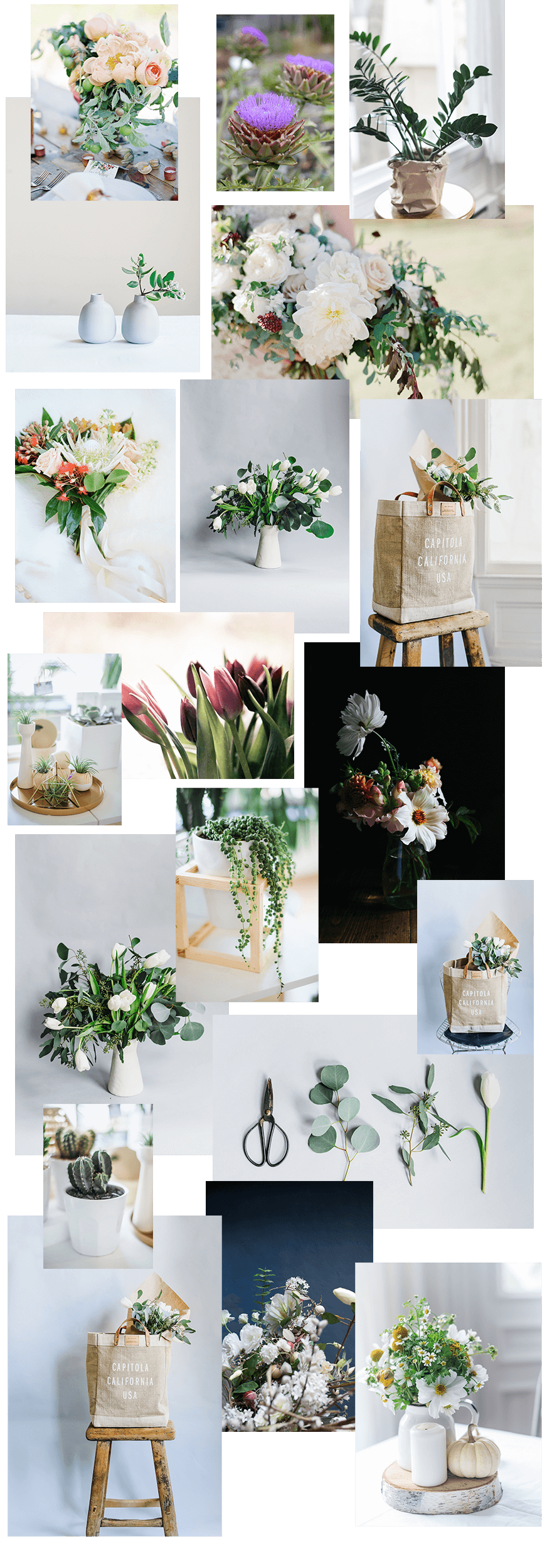 florist photos