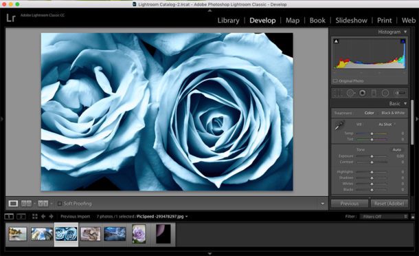 adobe photoshop elements vs lightroom adobe photoshop elements vs lightroom