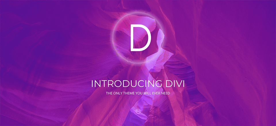 divi-year-in-review