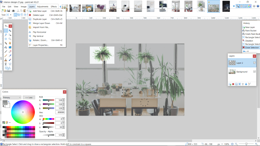 paint.net resize layer paint.net resize layer