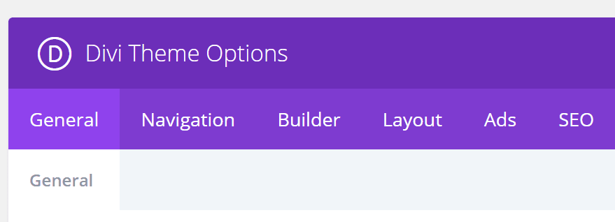 The Divi Theme Options menu.