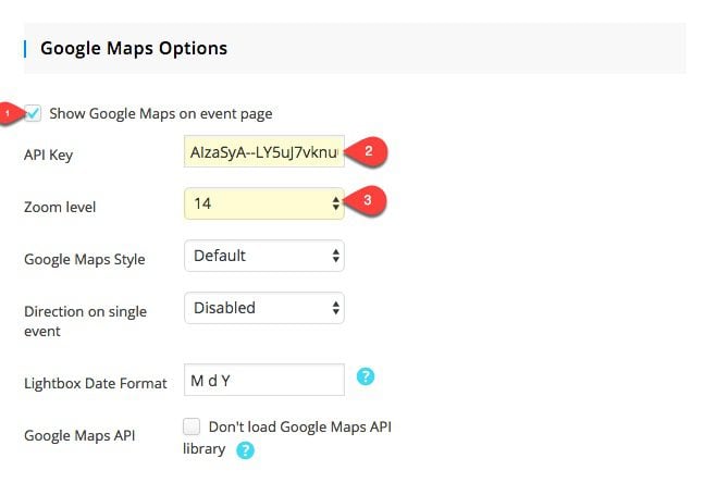 google maps options