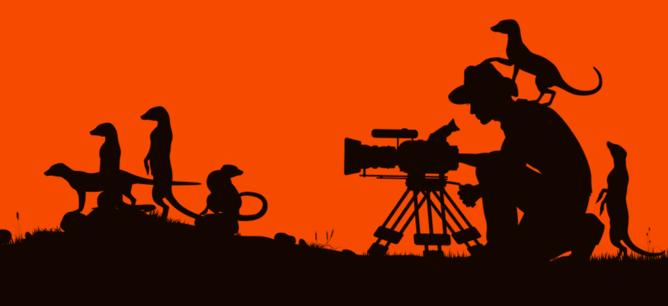 The 10 Best Video Editing Software Options