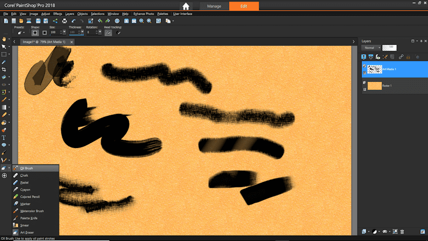 Paintshop Pro A Low Cost Alternative To Photoshop Elegant Themes Blog