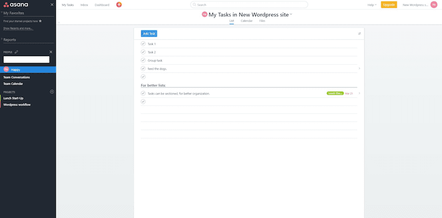 Asana Tasks